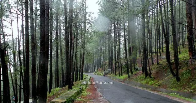 ...तो क्या बदल जाएगा लैंसडाउन का नाम? लोग बोले- बदलना है तो गुलामी का कानून बदलो