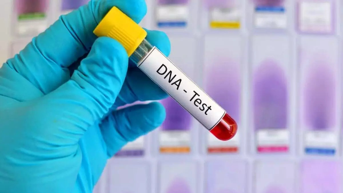 युवक ने की DNA टेस्ट की मांग: पुलिस से कहा- ये तीनों बच्चे मेरे नहीं, मुझे अपनी पत्नी के चरित्र पर शक है