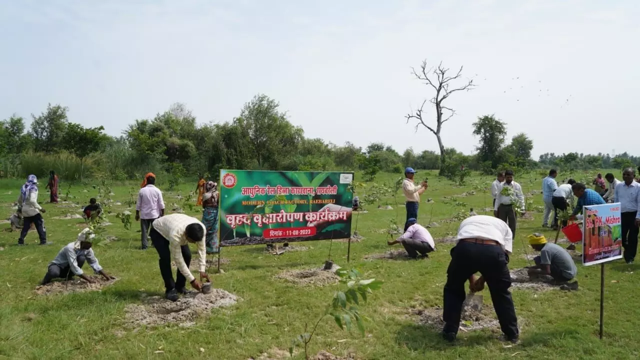 रायबरेली _आरेडिका के इको-कम जॉगर्स पार्क में हुआ वृहद वृक्षारोपण।