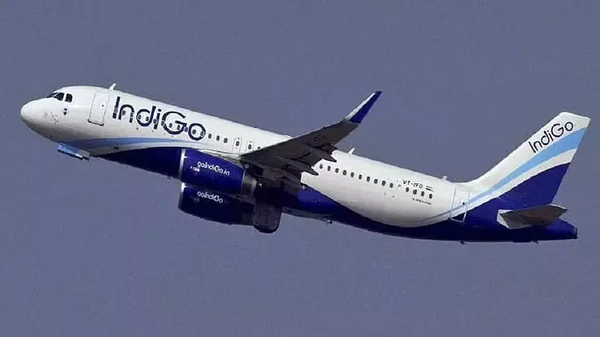 IndiGo: बीच फ्लाइट में बच्चे की सांस थमती देख फूट-फूटकर रोने लगी मां, मसीहा बनकर बचाने आए IAS अफसर और डॉक्टर