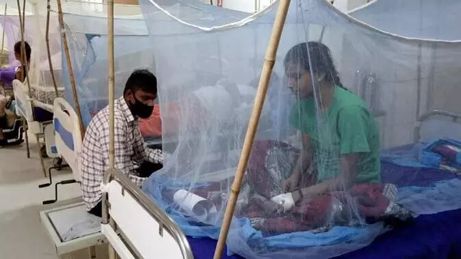 Lucknow Dengue News : लखनऊ में डेंगू के 36 नए मरीज मिले, अस्पतालों में प्लेटलेट्स की मांग बढ़ी