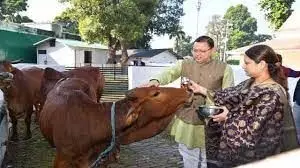 मुख्यमंत्री धामी ने किया गायों का पूजन, प्रदेशवासियों के लिए की सुख-समृद्धि व खुशहाली की कामना