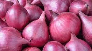 Onion Export:  प्याज की कीमतों में 40 फीसदी का इजाफा दो दिन में ही, सरकार ने यह कहकर दी राहत