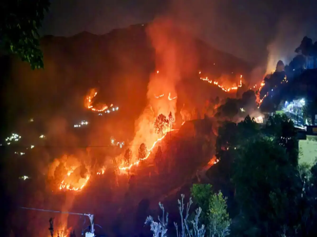 नैनीताल के जंगलों में भीषण आग ,उत्तराखंड के मुख्यमंत्री पुष्कर धामी ने कहा भीषण आग पर जल्द काबू पा लिया जाएगा