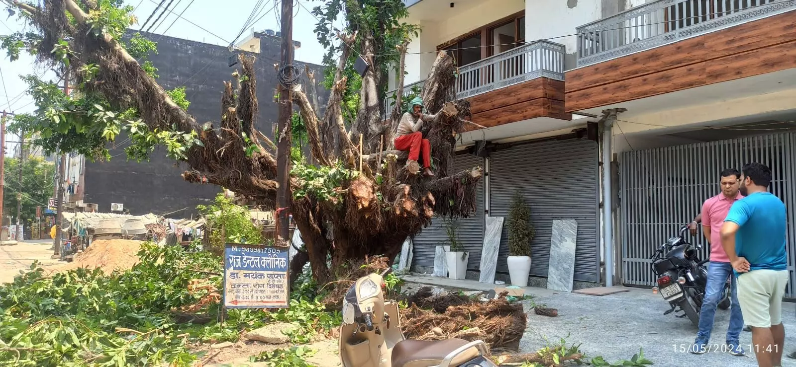 समाजिक कार्यकर्ता सुनील वैद ने जिला फॉरेस्ट ऑफिसर को लिखा पत्र, 30 साल पुराने हरे पेड़ को कटने से रुकवाने की अपील की