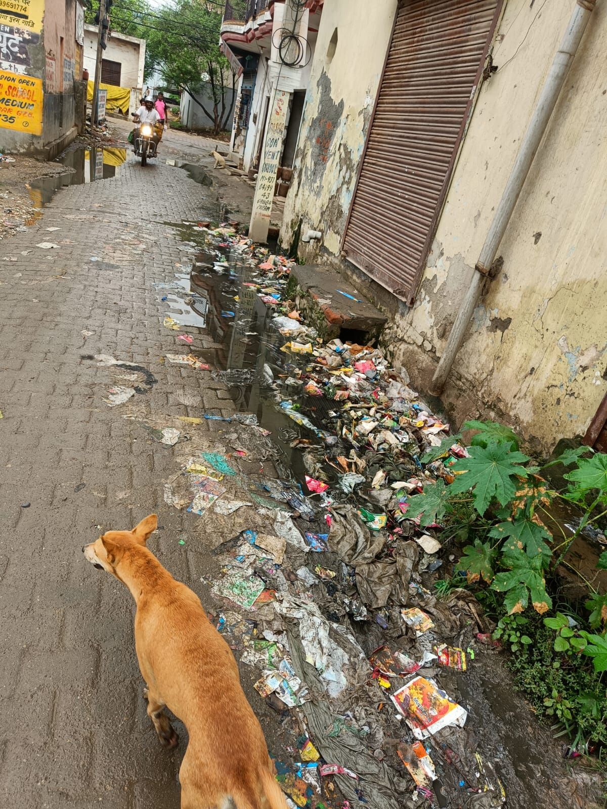 गंगापुरम को बना दिया नरकपुरम! आरडब्ल्यूए ने महापौर और जिला प्रशासन को दी चेतावनी, कहा- नालियां जल्द से जल्द साफ की जाए वरना...