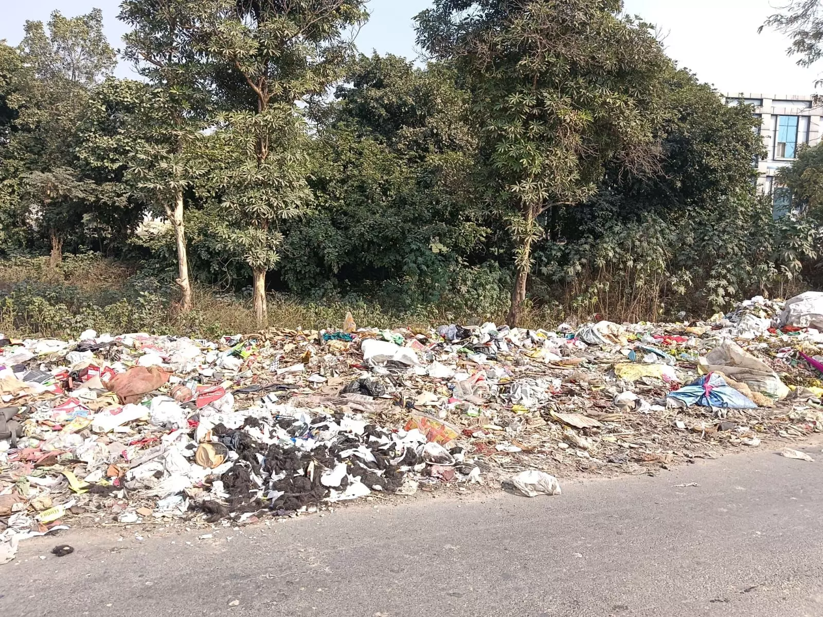 गोविंदपुरम में कूड़े के ढेर से लोग परेशान, नगर निगम से सफाई की मांग